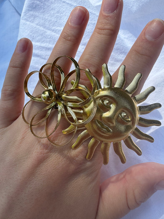 Levi ring